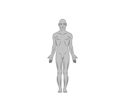 Corpo Inteiro